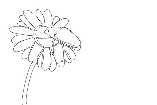 Single line drawing of a june bug perched on a flower, representing nature concept and the theme of June Bug Day, celebrating insects&rsquo; role in pollination and ecological sustainability.