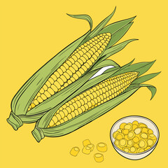 “Fresh Corn on the Cob with Kernels Yellow Maize Food Vector Illustration”