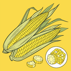 “Fresh Corn on the Cob with Kernels Yellow Maize Food Vector Illustration”