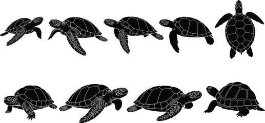 Set of Detailed Sea Turtle and Tortoise Silhouettes in Various Swimming and Walking Poses, Representing Marine Life, Conservation, and Nature