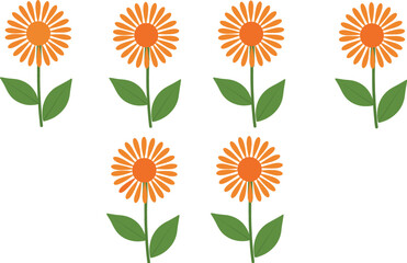 Set of six orange daisy flowers with green leaves isolated on white background for spring floral design, summer patterns, and garden illustrations.