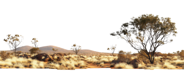 Desert Vista: a serene scene of the desert, where the vast, arid terrain unfolds under a wide, expansive sky, with scattered vegetation and geological features.