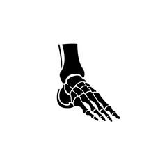 Fototapeta premium Human Foot Skeleton Anatomy Illustration