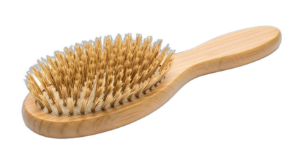 Natural bamboo hairbrush with firm boar bristles on a stark for beauty on transparent background