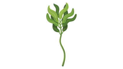 Fototapeta premium Stylized green plant with wavy leaves on a plain white background, simple botanical illustration
