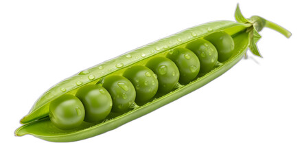 Fresh green pea pod opened revealing perfectly ripe sweet peas with glistening water droplets on transparent background