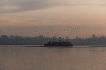 Mglisty zimowy wschód słońca nad stawem © Elżbieta Kaps