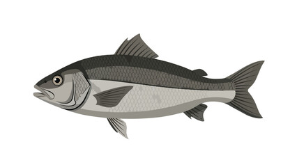 Obraz premium An elegant graphic illustration of a fish, dynamically depicted with intricate scales and graceful fins. This artwork beautifully captures its full