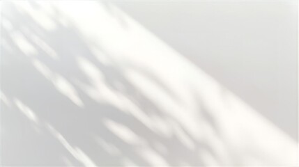 Soft Diagonal Shadowed Light On White Background For Minimalist Calm Abstract Space Photography Use Decor