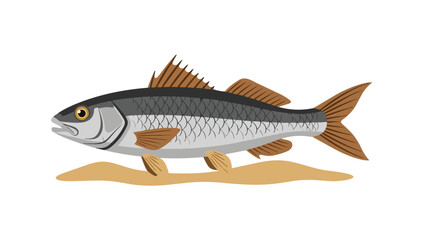 Obraz premium Stylized graphic illustration of a freshwater fish with distinct scales and prominent fins resting on a sandy riverbed conveying aquatic life