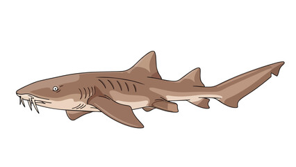 Obraz premium Illustration of a Tawny Nurse Shark with prominent teeth and gills isolated on a white background