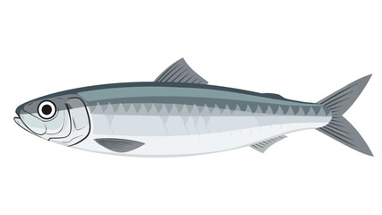 Obraz premium Stylized Illustration of a Silver Sardine Fish Depicting Marine Life and Aquatic Ecosystems