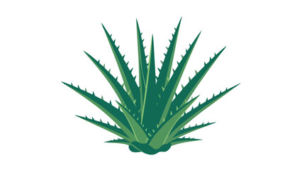 Vibrant Green Aloe Vera Plant Illustration With Sharp Edges Against A Clean White Background