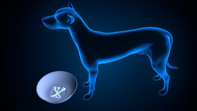 Dog salivation in blue background anatomy. 3d illustrations