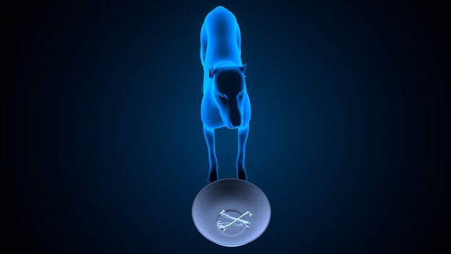 Dog salivation in blue background anatomy. 3d illustrations
