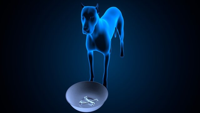 Dog salivation in blue background anatomy. 3d illustrations