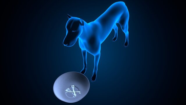 Dog salivation in blue background anatomy. 3d illustrations