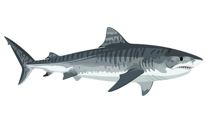 Fototapeta premium Illustrative depiction of a formidable tiger shark showcasing its distinctive stripes and predatory features on a clean white backdrop for versatile