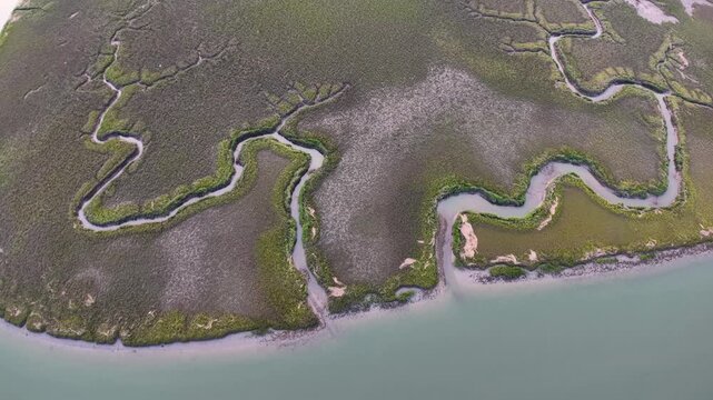 Drone footage of winding tidal creeks cutting through a lush salt marsh along the South Carolina coast