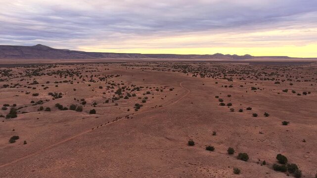 Aerial drone view of wild mustangs running along a desert dirt road. The herd travels with speed and unity across the vast red earth landscape.