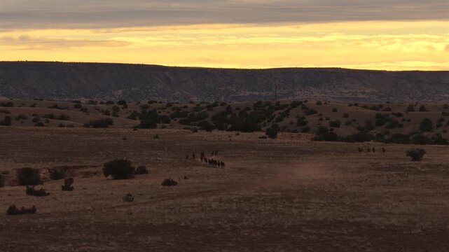 Wide atmospheric view of wild horses galloping through the high desert at golden hour. The herd creates a trail of dust against a stunning yellow sunrise and mesa backdrop.