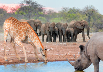 Fototapety na wymiar - Fototapeta24.pl