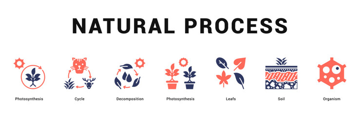 Natural Process Modern and clean web banner illustration featuring thematic icons for visual communication