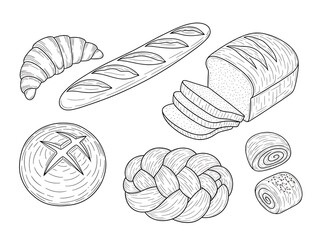 Bread Varieties Isolated on White Background