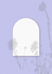 Natural light casts shadows from wildflowers on an arched sheet of white paper lying on a vertical purple background. Mockup