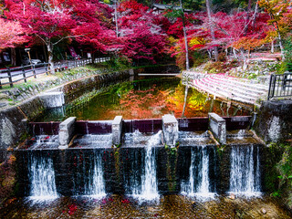 日本の田舎の山間では秋になると紅葉が色づきます