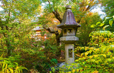 京都、宝筐院の庭園