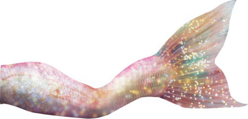 Soft pastel pink mermaid tail with golden iridescent sparkles and gentle flowing fin, romantic watercolor ocean fantasy artwork for weddings, birthdays, nursery decor and crafts

