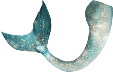 Curved teal mermaid tail with soft golden sparkles and delicate scales, elegant underwater fantasy fin illustration for ocean characters, invitations, room decor and craft projects

