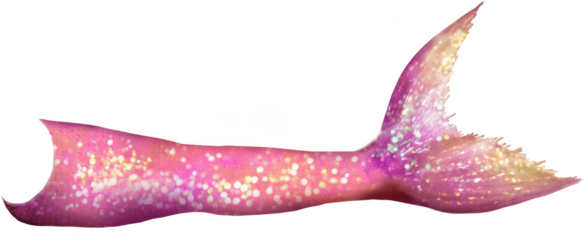 Glittering pink and gold mermaid tail with graceful flared fin, sparkling scales and dreamy highlights, perfect for fantasy artwork, ocean princess parties and magical decor themes


