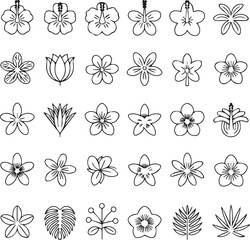 Tropical Hibiscus and Plumeria Line Art Vector Exotic Floral Outline Icons for Summer Branding Wedding Decor and Botanical Illustration