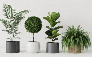 A diverse collection of four green houseplants sits neatly in dark, minimalist pots against a clean white wall. 