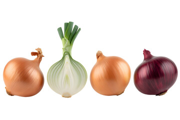 Fresh onion varieties on transparent background