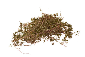 green tea isolated on white background