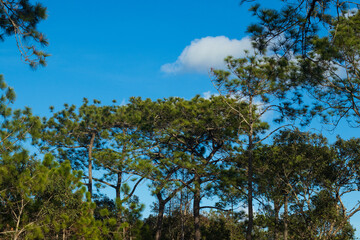 Obraz premium go out on holiday