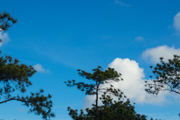 Obraz premium go out on holiday