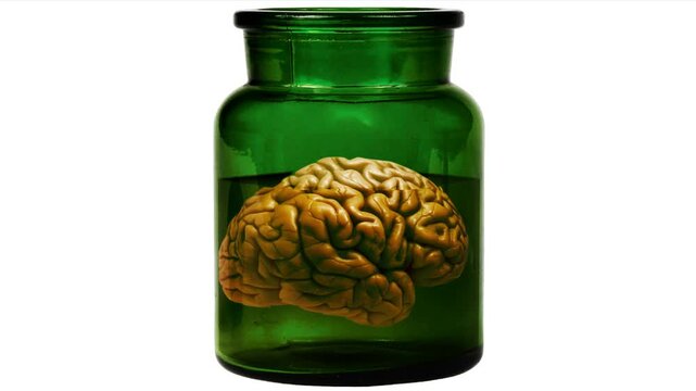 Human brain preserved in glass jar on green screen chromakey background. Perfect for 2d animated cartoon animation science, intelligence, medical, or horror-themed educational and creative videos.