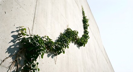 A growth line represented by the slow, determined ascent of ivy climbing an impossibly tall, clean concrete wall.