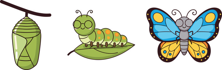 Obraz premium Cute flat vector illustration of butterfly metamorphosis stages