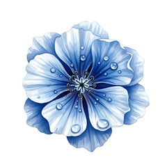 Blue water-droplet flower
