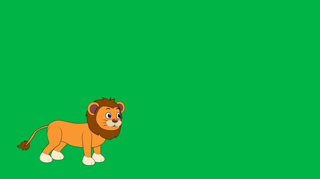 Cute lion cub sitting curiously with mane on green screen chromakey background. Perfect for 2d animated cartoon animation wildlife, safari, or playful animal scenes in children's educational videos.