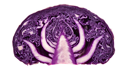 cross-section of a red cabbage.