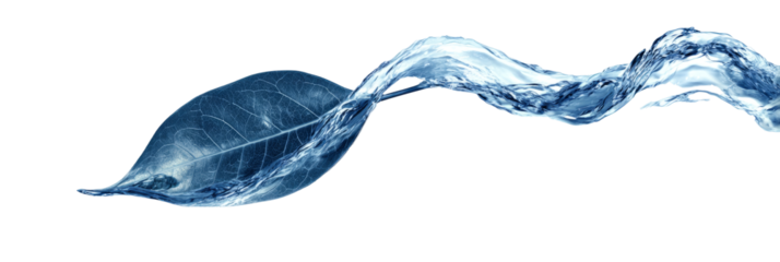 Leaf made from flowing water.minimal on white