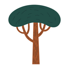 Dark Green Pine Tree with Brown Bark and Spreading Branches