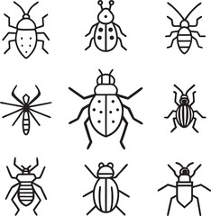 collection of insects