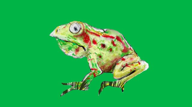 Colorful frog sitting calmly on green screen chromakey background. Great for 2d animated cartoon animation nature, animal, or whimsical amphibian characters in stories.